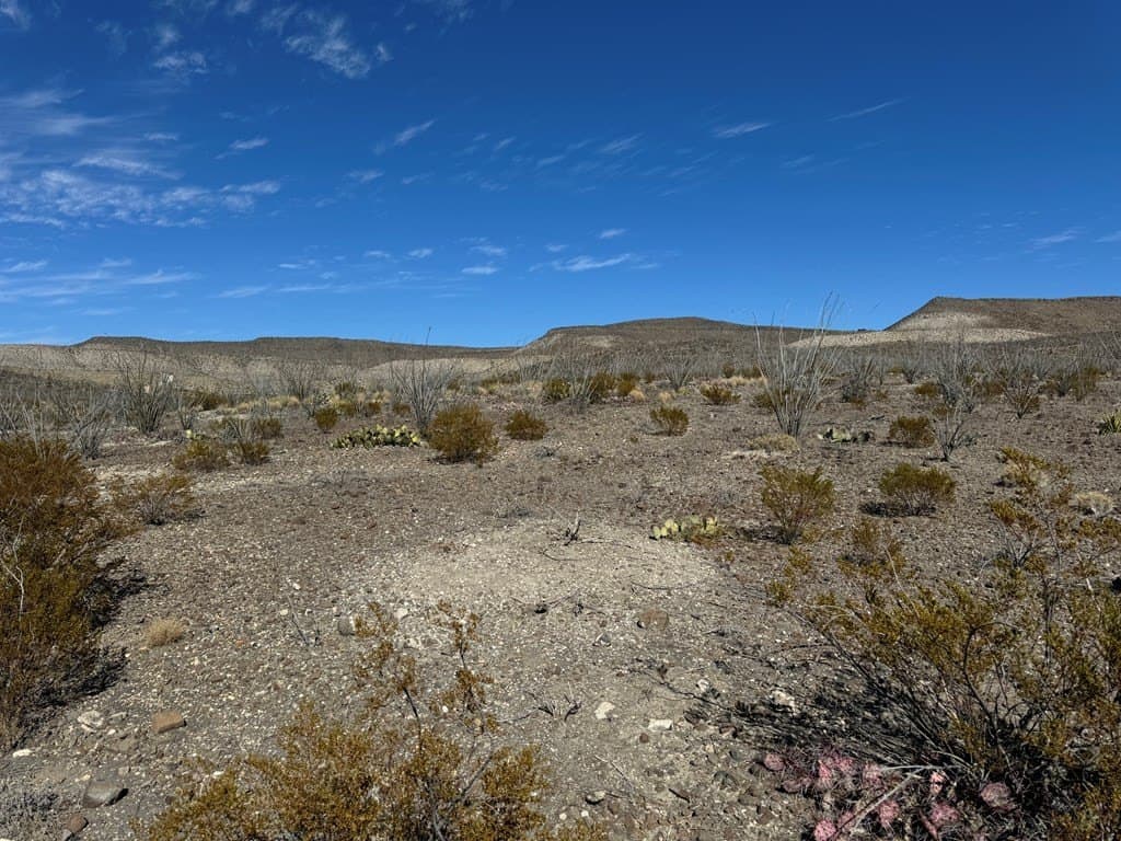 61 acres in Brewster County - photo 16