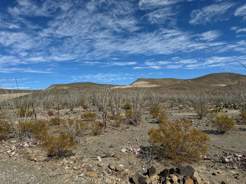 61 acres in Brewster County - photo 7