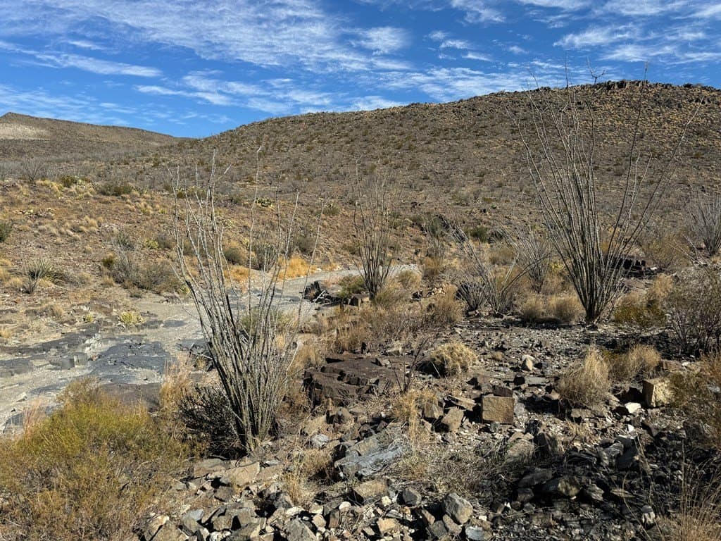 61 acres in Brewster County - photo 13