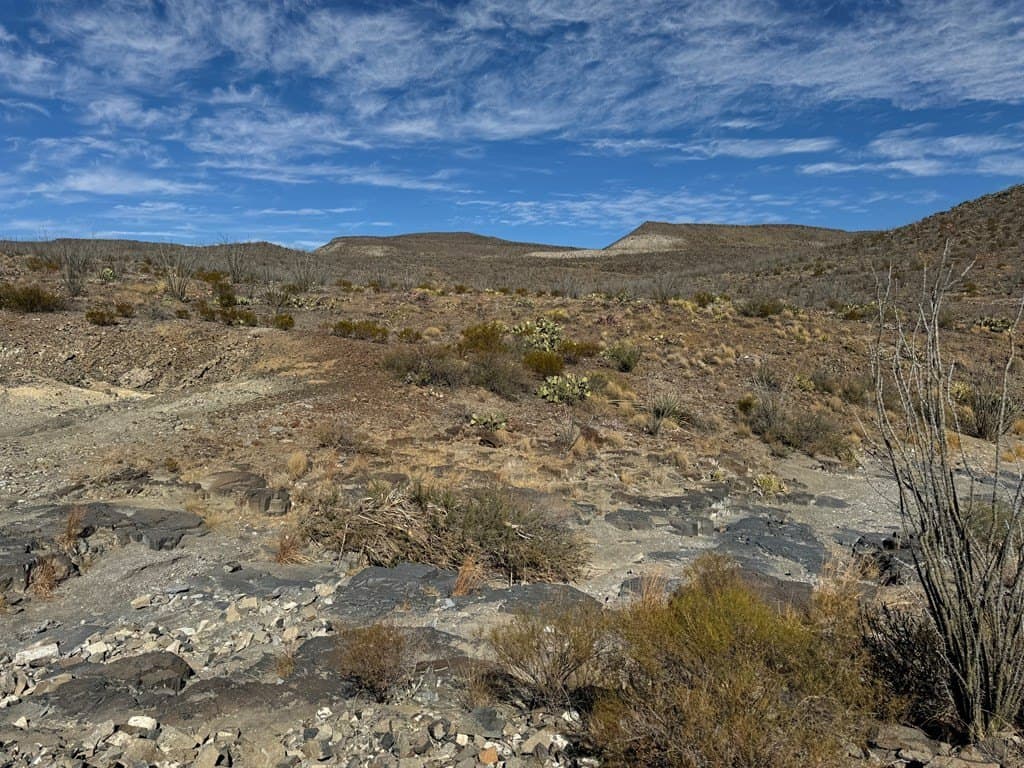 61 acres in Brewster County - photo 14