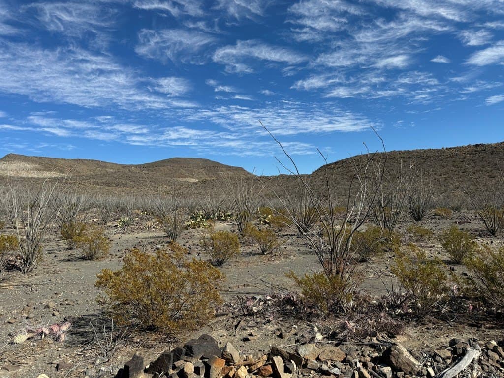 61 acres in Brewster County - photo 8