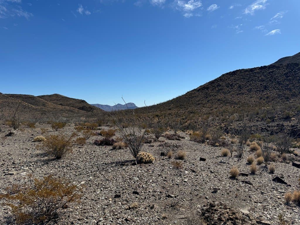 61 acres in Brewster County featured view