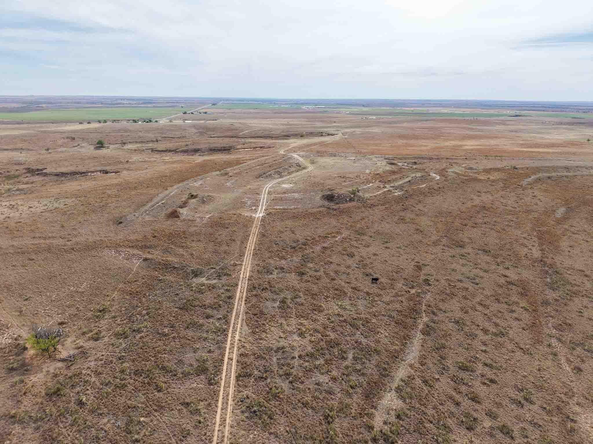 322.28 acres in Wheeler County - photo 15
