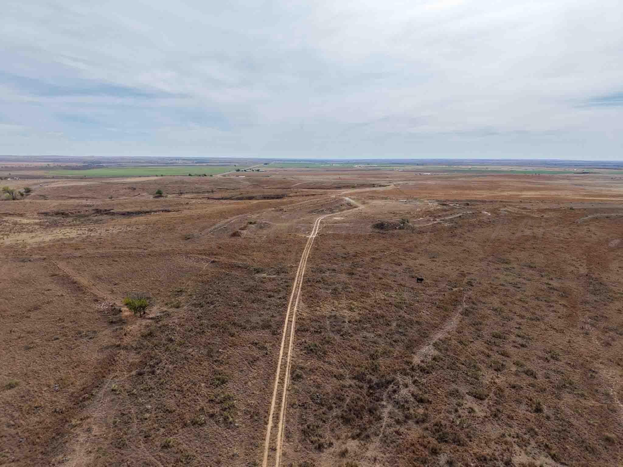 322.28 acres in Wheeler County - photo 14