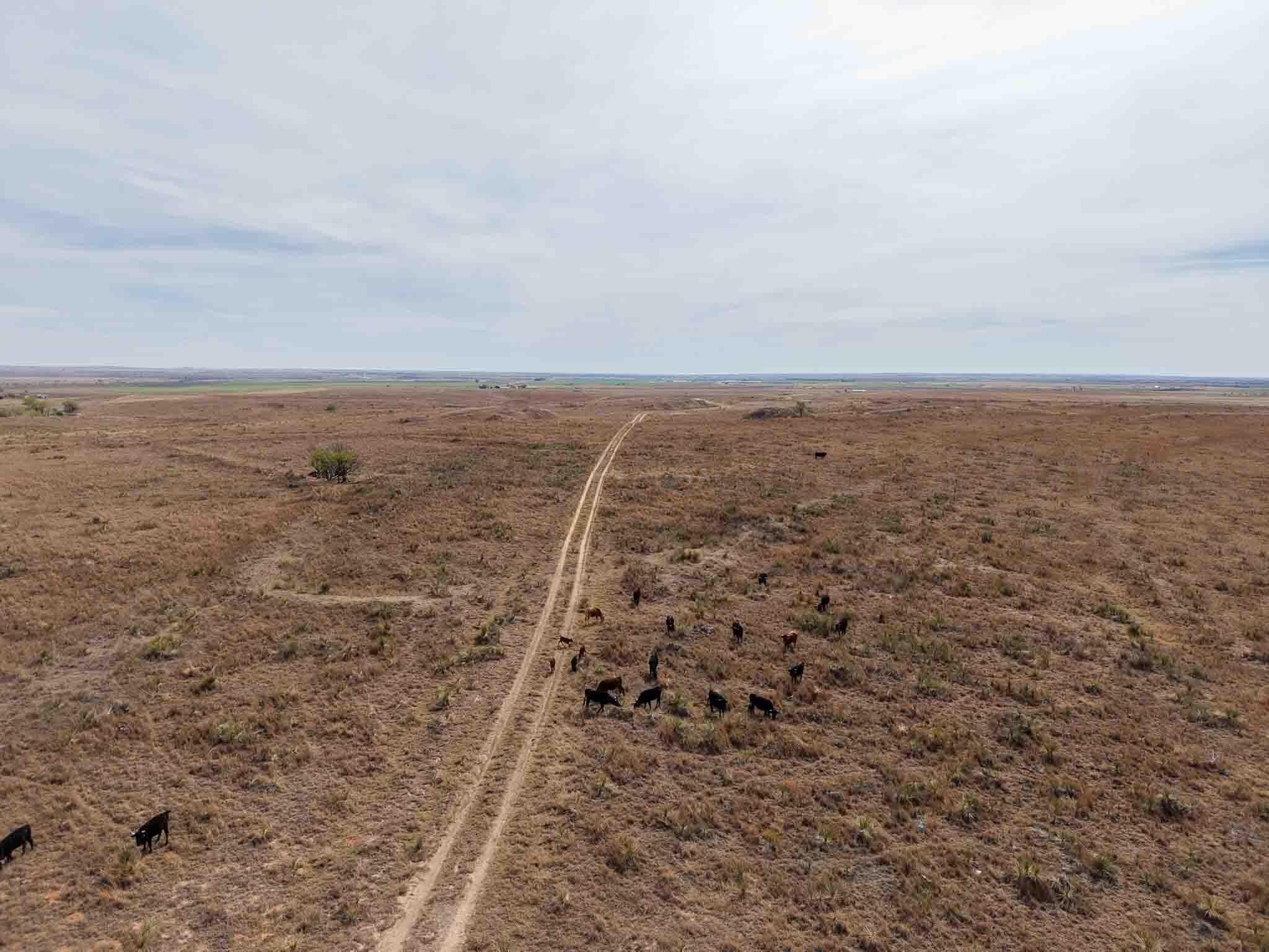 322.28 acres in Wheeler County - photo 13