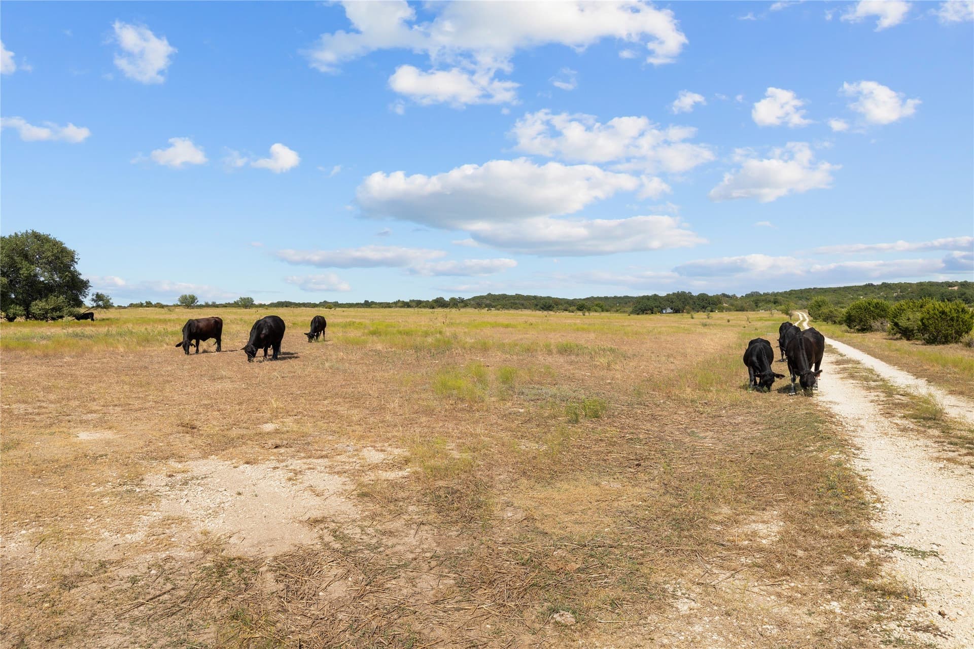175.79 acres in Bosque County - photo 19