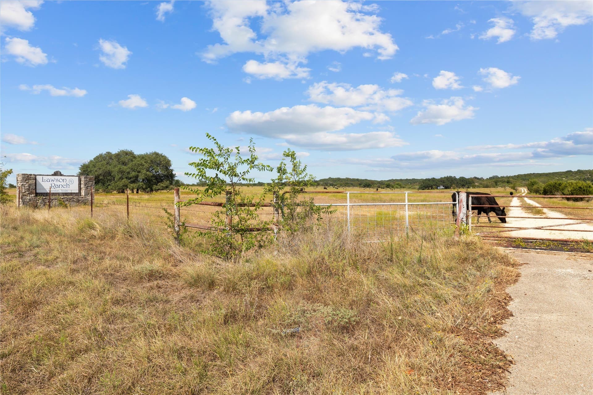 175.79 acres in Bosque County - photo 7