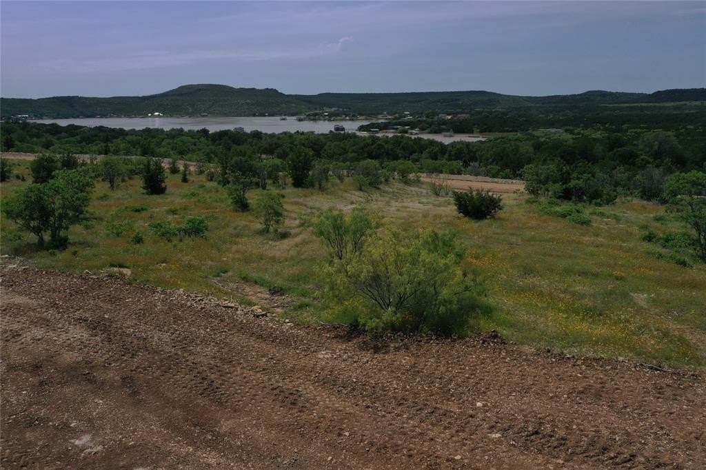 0.52 acres in Palo Pinto County - photo 25