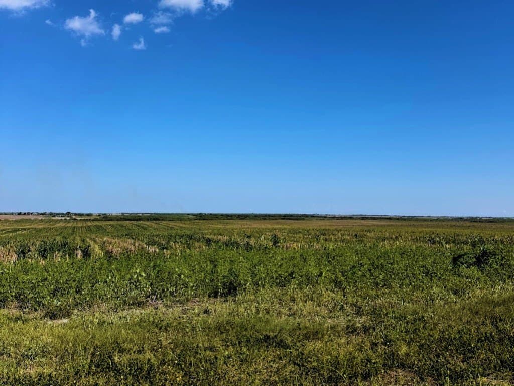 100,000 acres in Kleberg County - photo 10