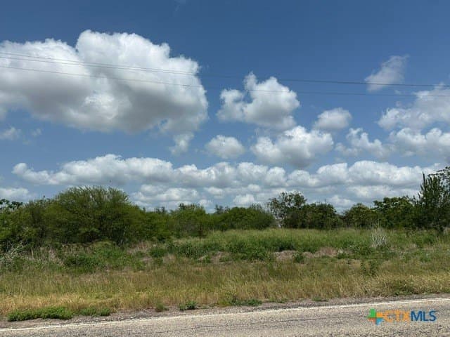 1.1 acres in Goliad County gallery image 2