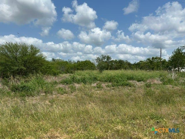 1.1 acres in Goliad County gallery image 3