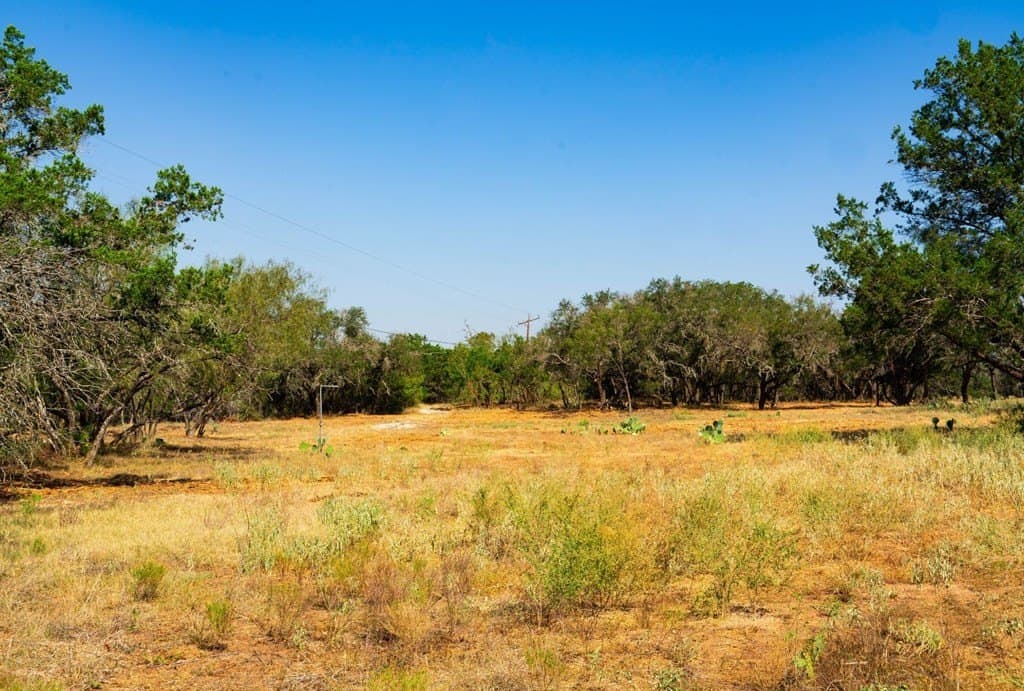40.05 acres in Travis County - photo 16