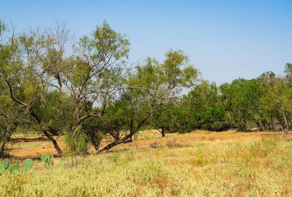 40.05 acres in Travis County - photo 14