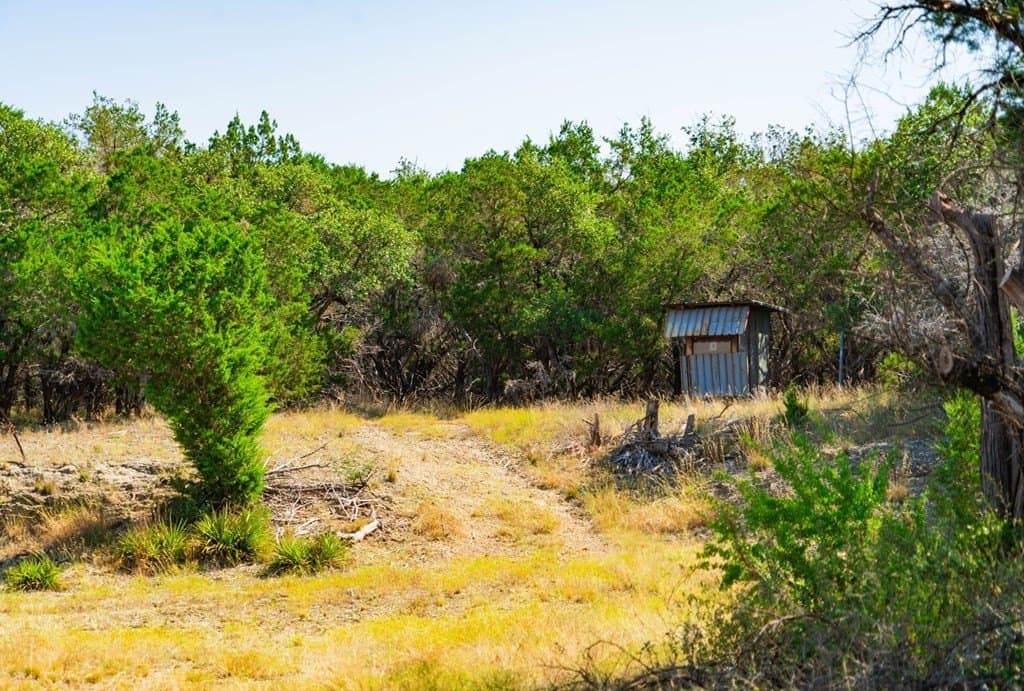 40.05 acres in Travis County - photo 7