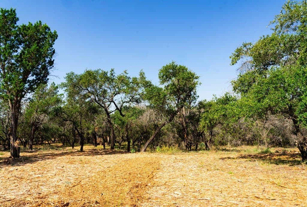 40.05 acres in Travis County - photo 20