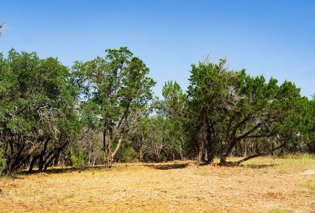 40.05 acres in Travis County - photo 19