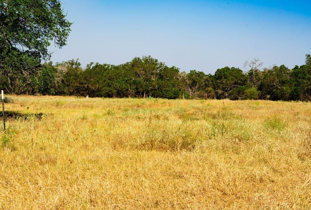 40.05 acres in Travis County - photo 18