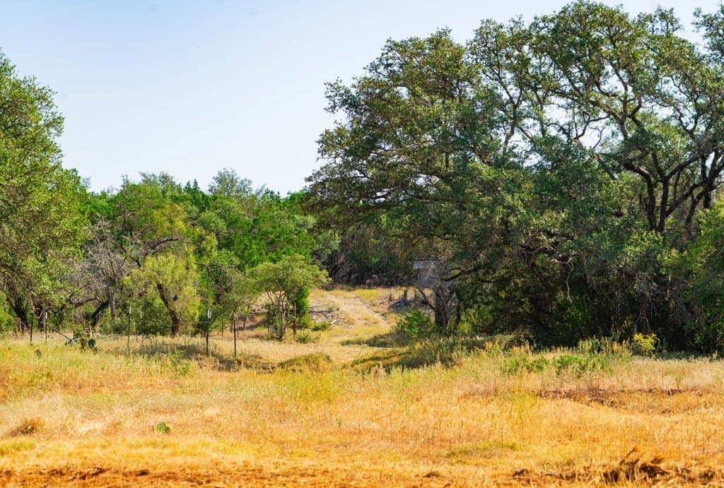 40.05 acres in Travis County - photo 6