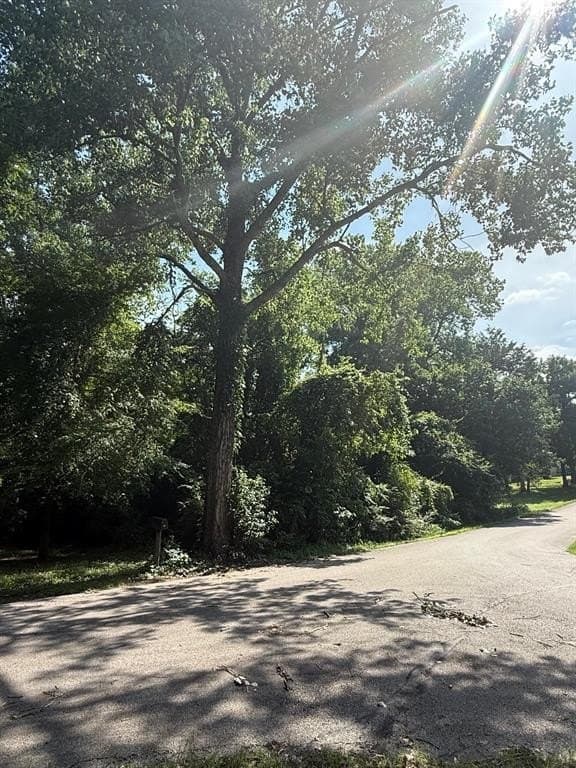 0.23 acres in Henderson County gallery image 3