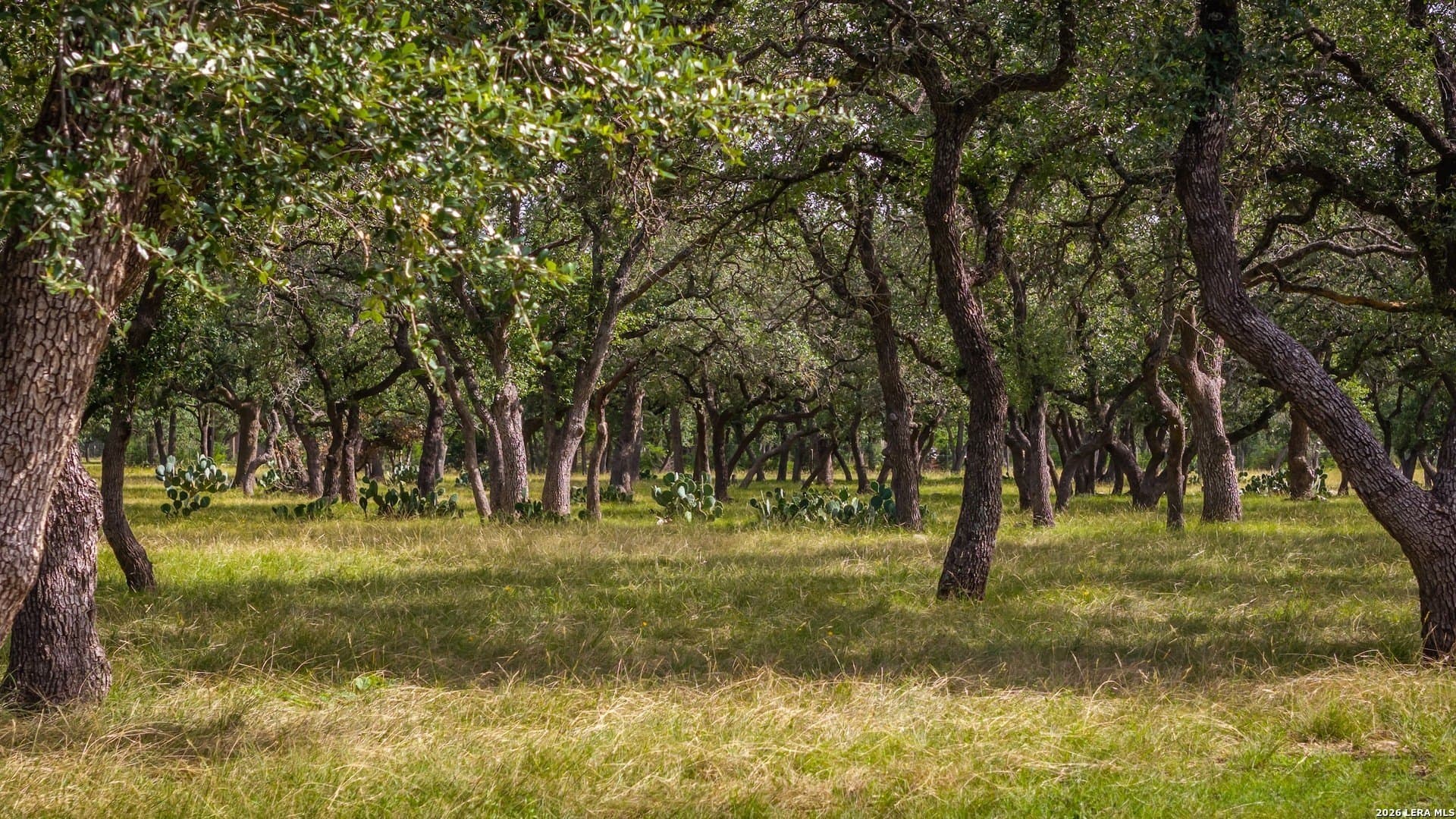 20.41 acres in Kendall County - photo 39