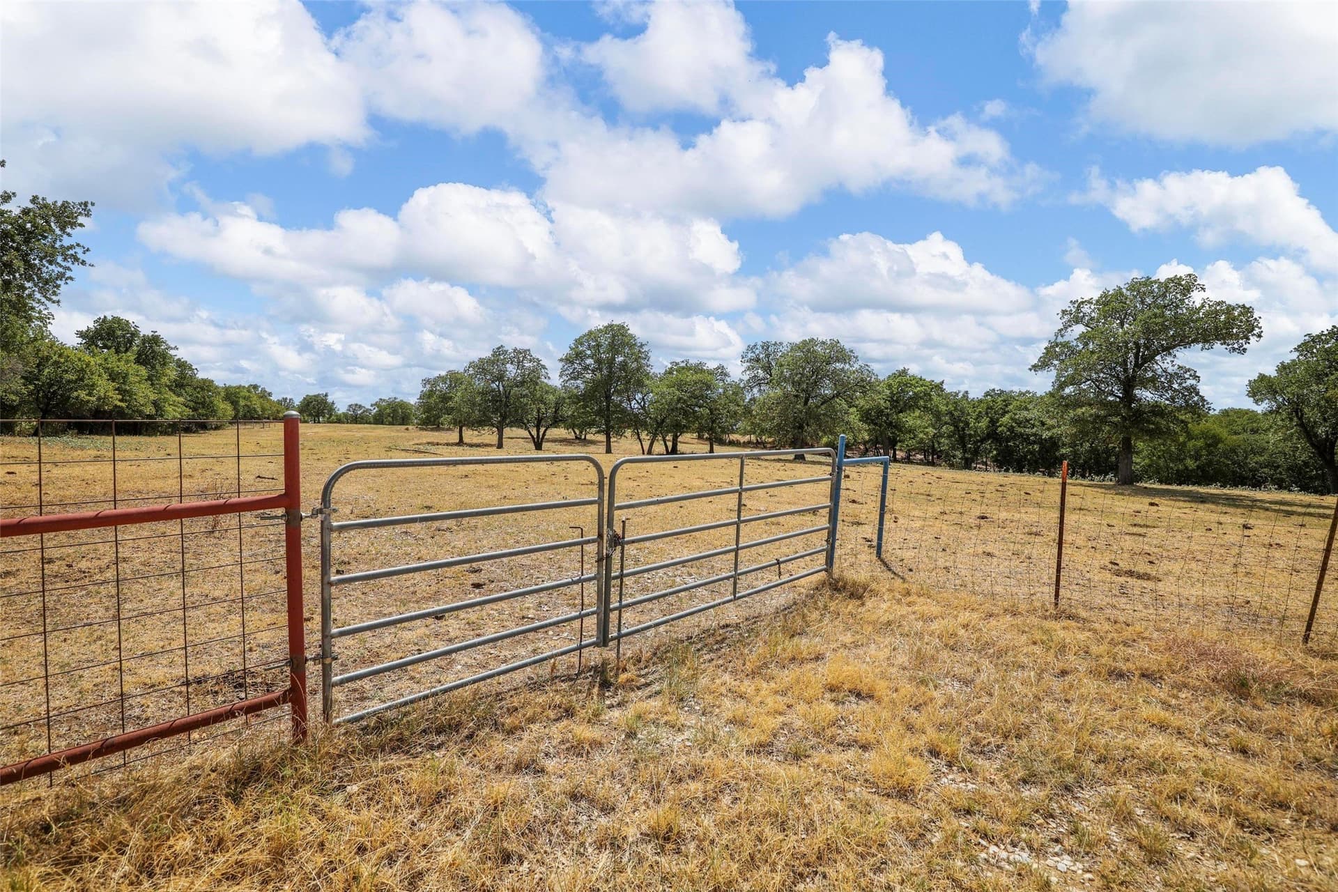 24.68 acres in Wise County - photo 7