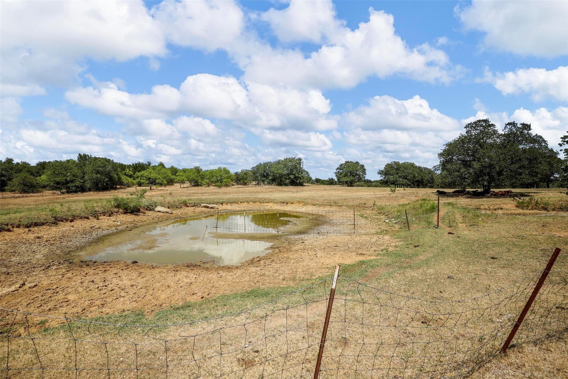 24.68 acres in Wise County - photo 8