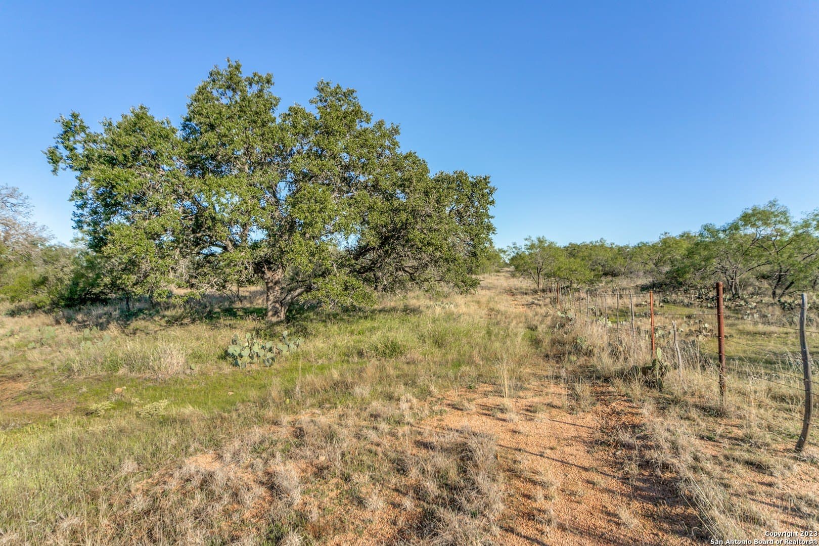 51.44 acres in Mason Co County gallery image 4