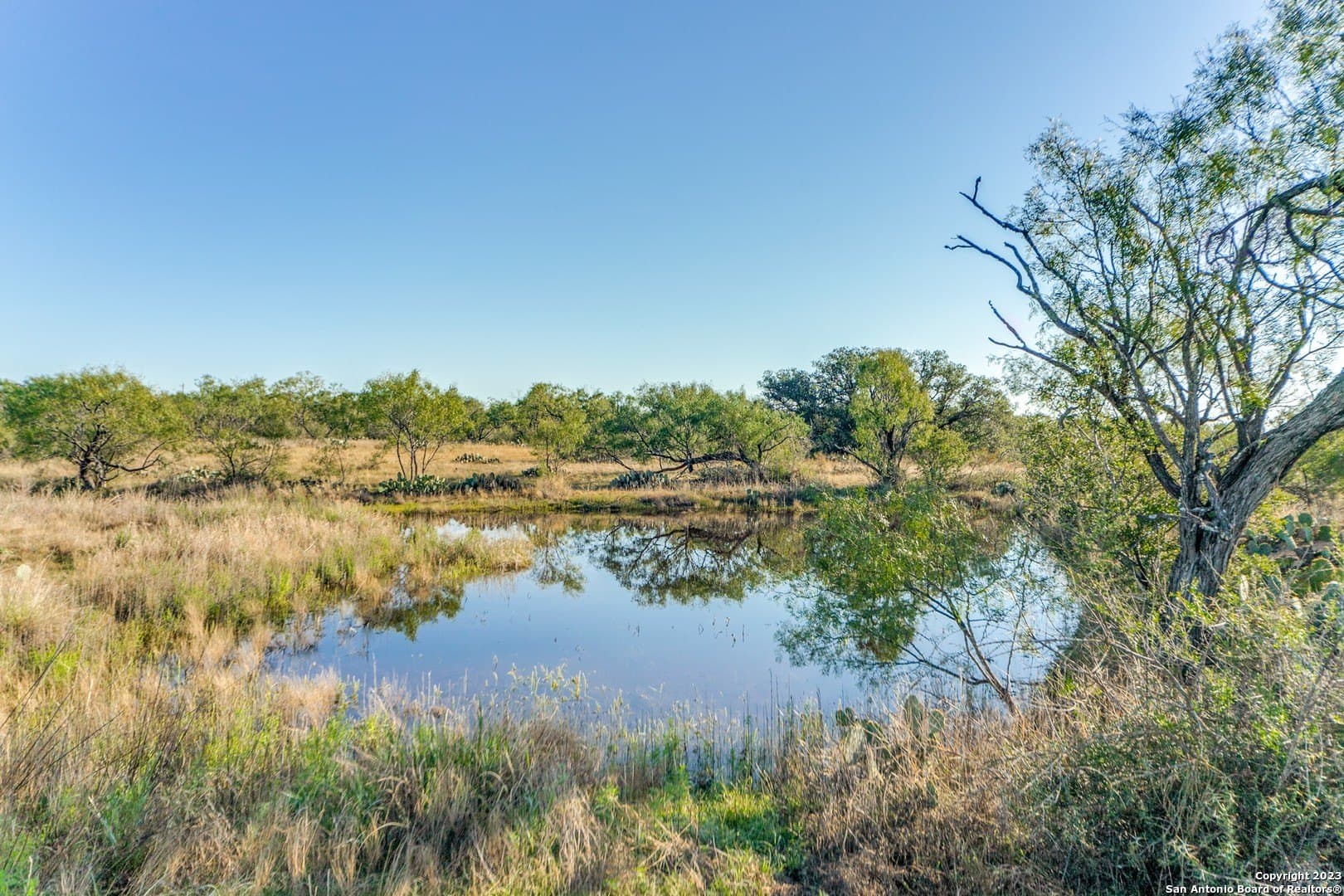 51.44 acres in Mason Co County gallery image 2