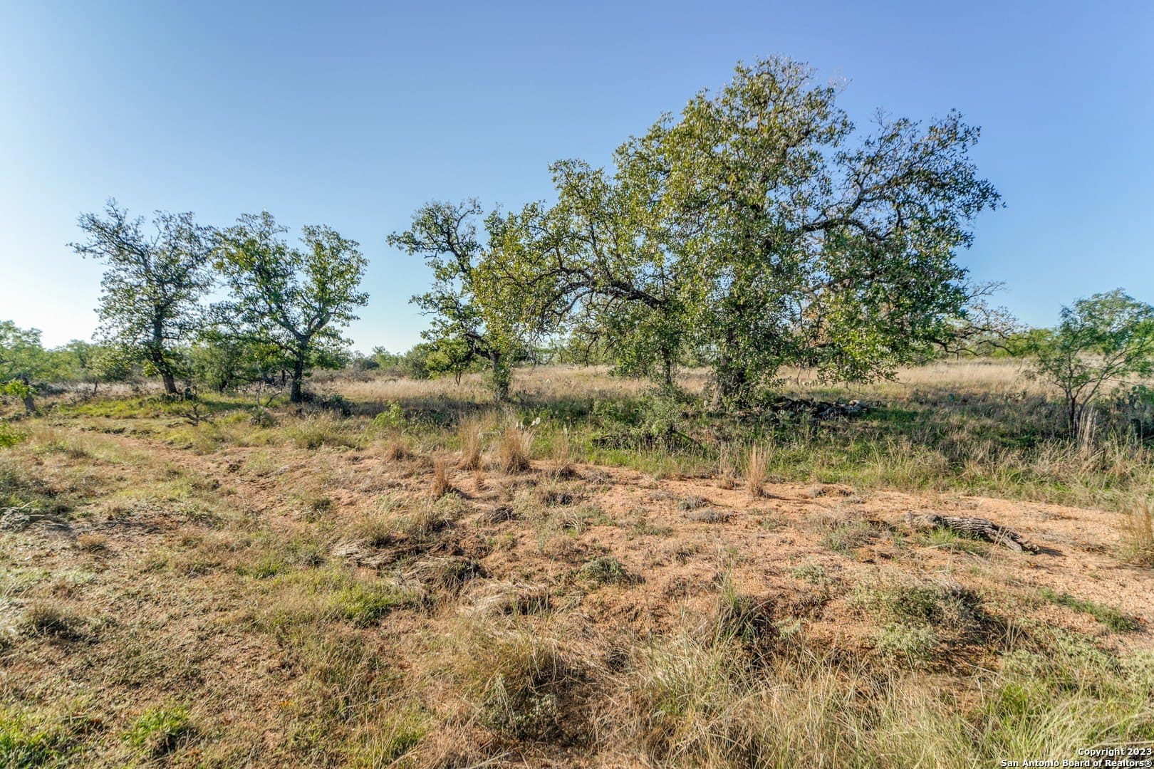 51.44 acres in Mason Co County featured view