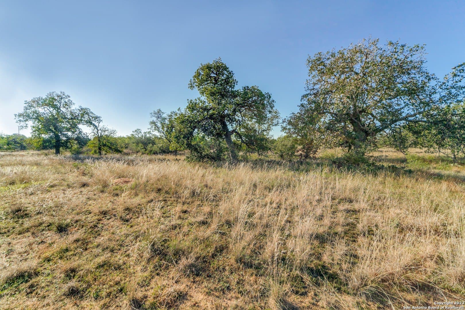 51.44 acres in Mason Co County - photo 7