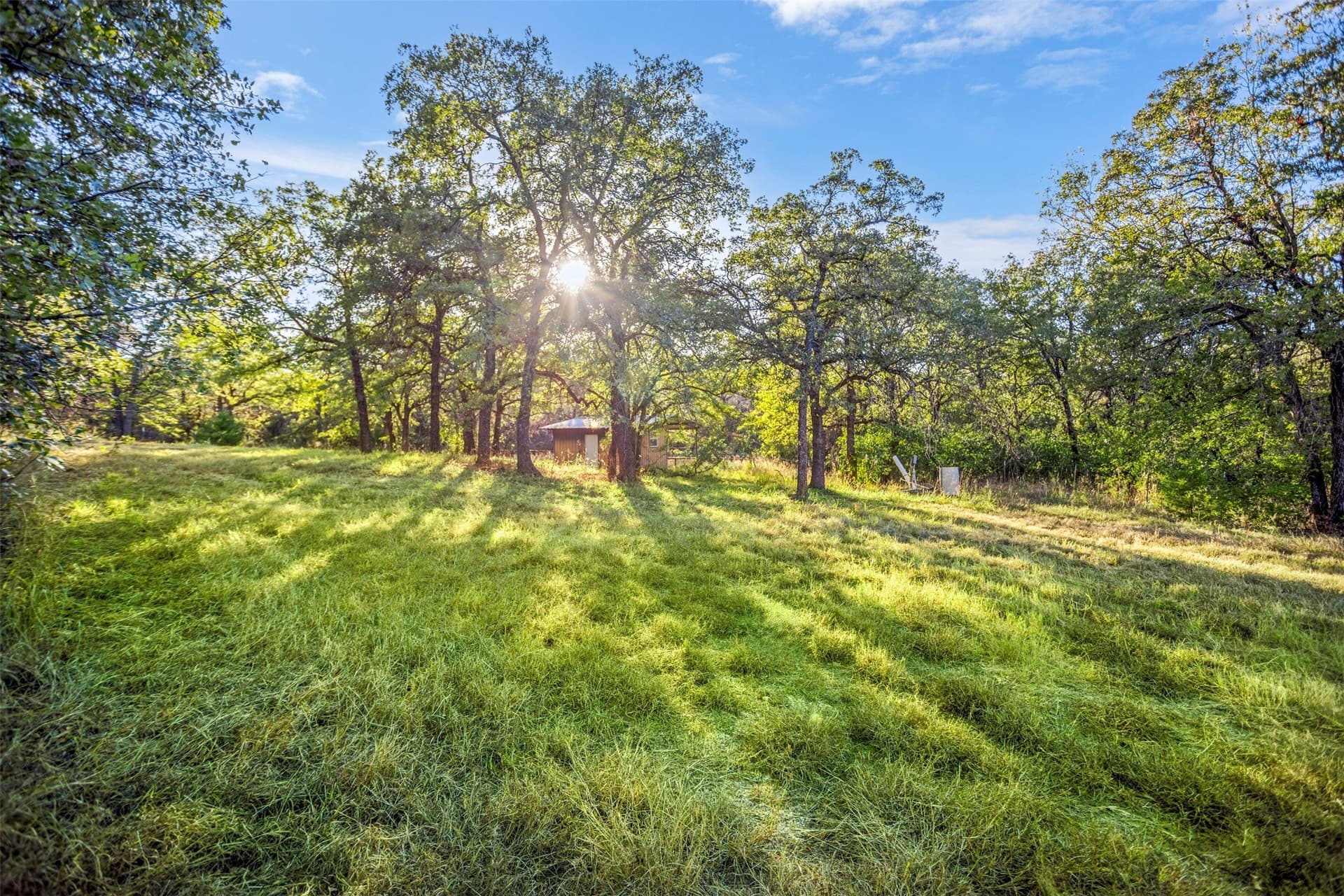 10.01 acres in Wise County - photo 12
