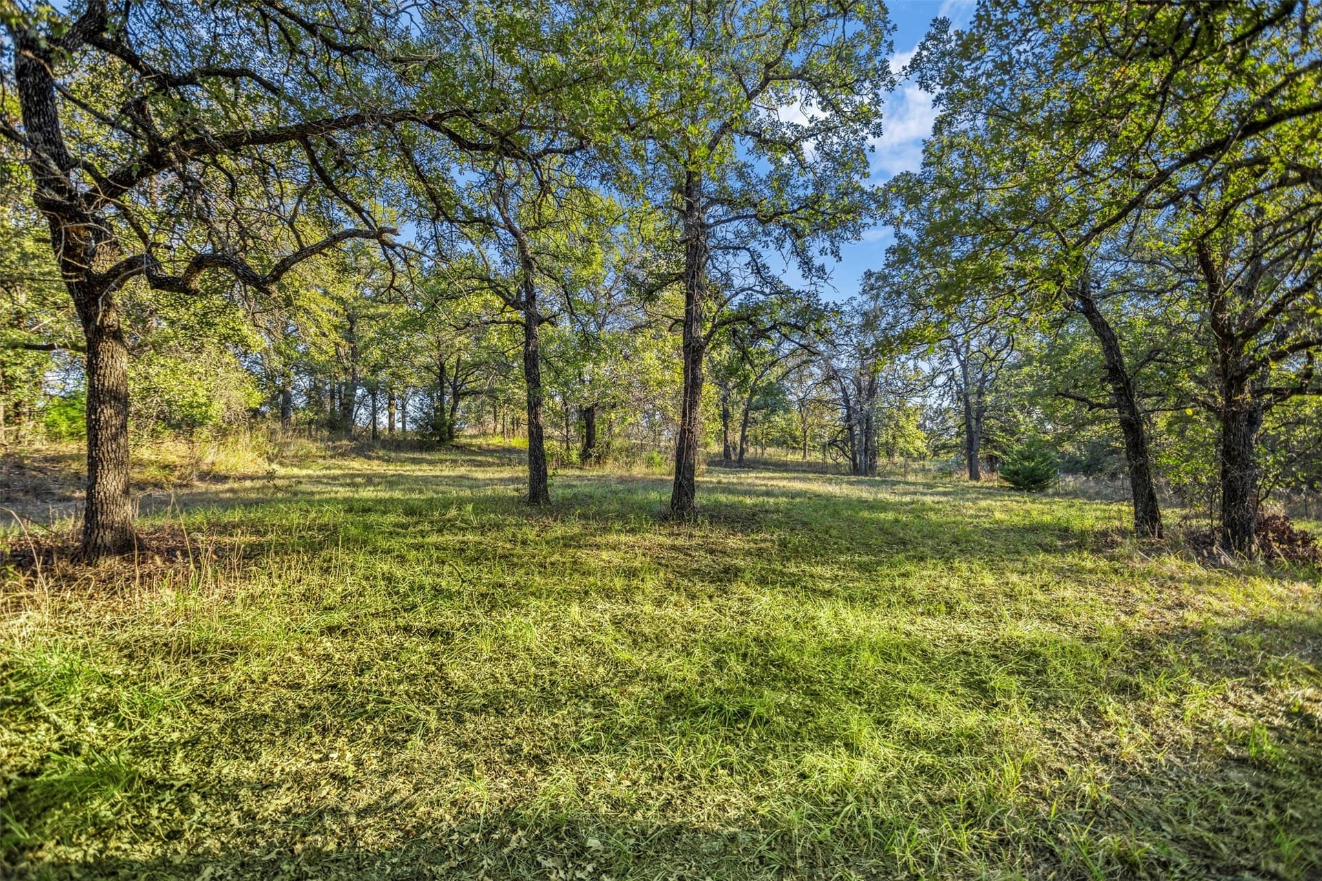 10.01 acres in Wise County - photo 14