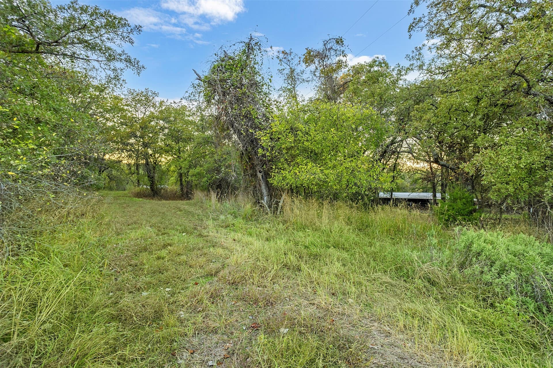 10.01 acres in Wise County - photo 18