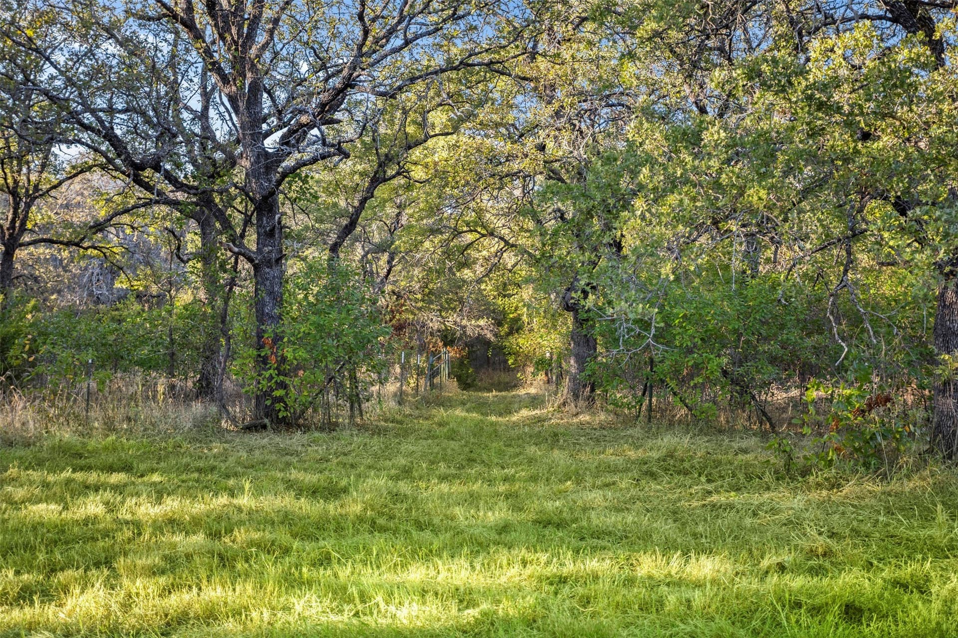 10.01 acres in Wise County - photo 16
