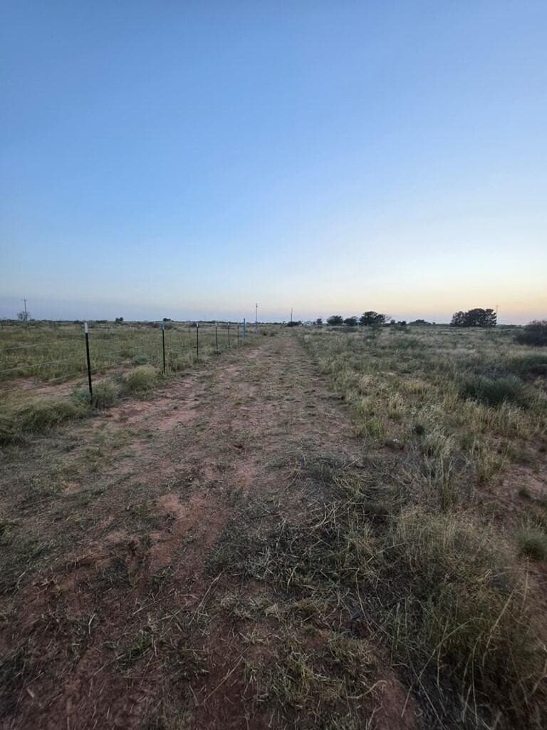 1 acres in Midland County - photo 5