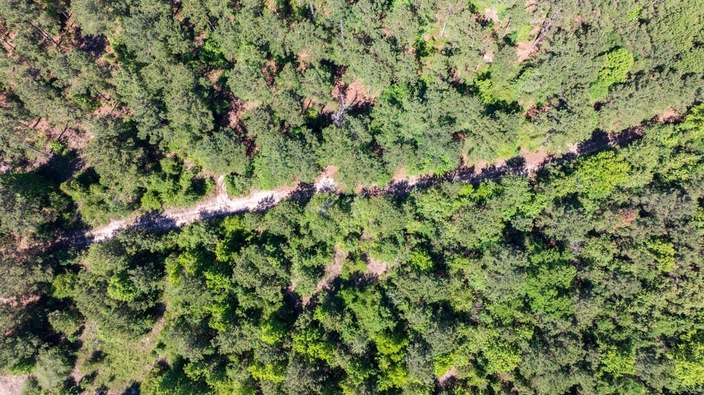 32 acres in Texas County - photo 21