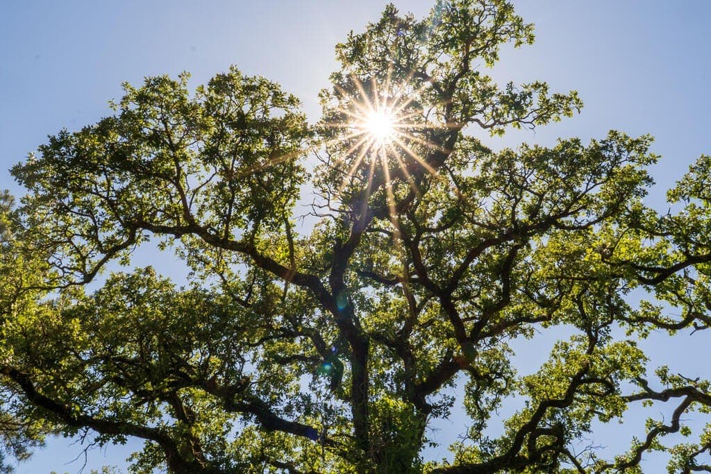 32 acres in Texas County