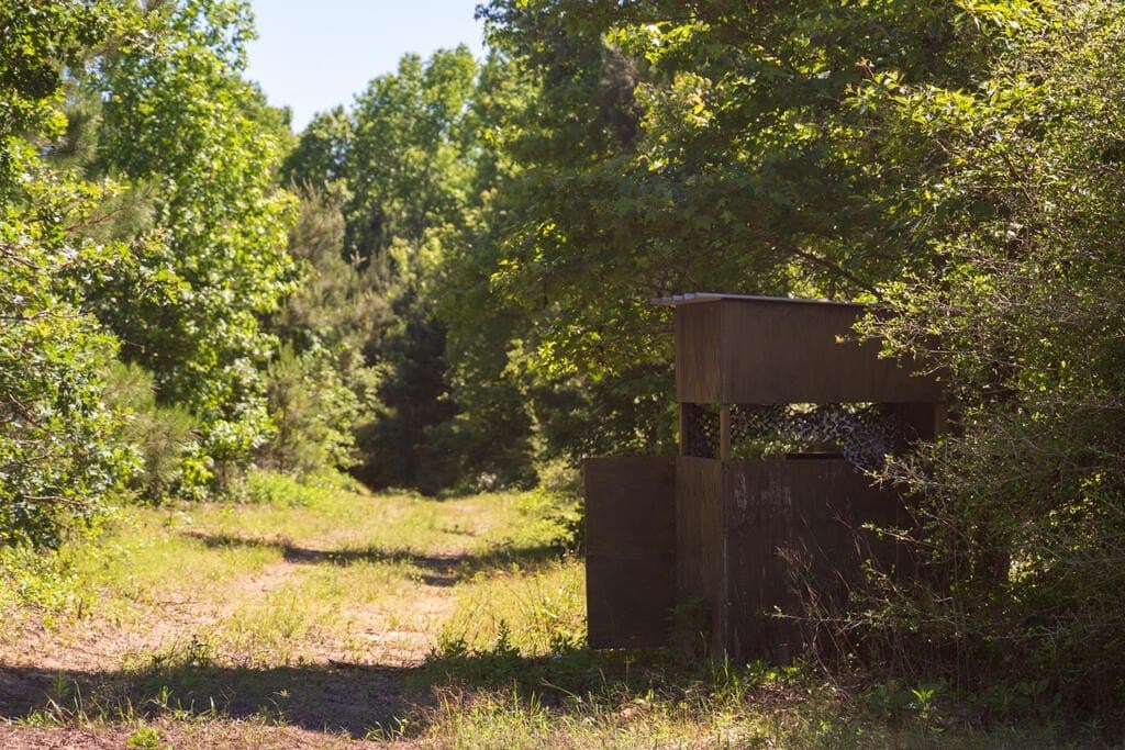 32 acres in Texas County - photo 3