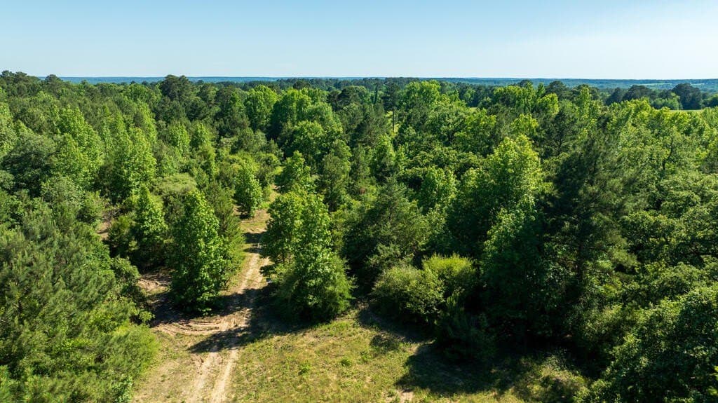32 acres in Texas County - photo 20