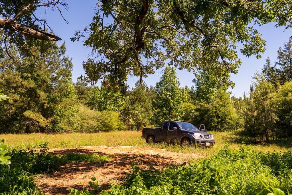 32 acres in Texas County - photo 7