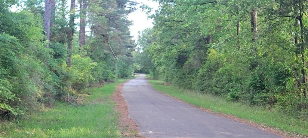 55.26 acres in Panola County gallery image 4