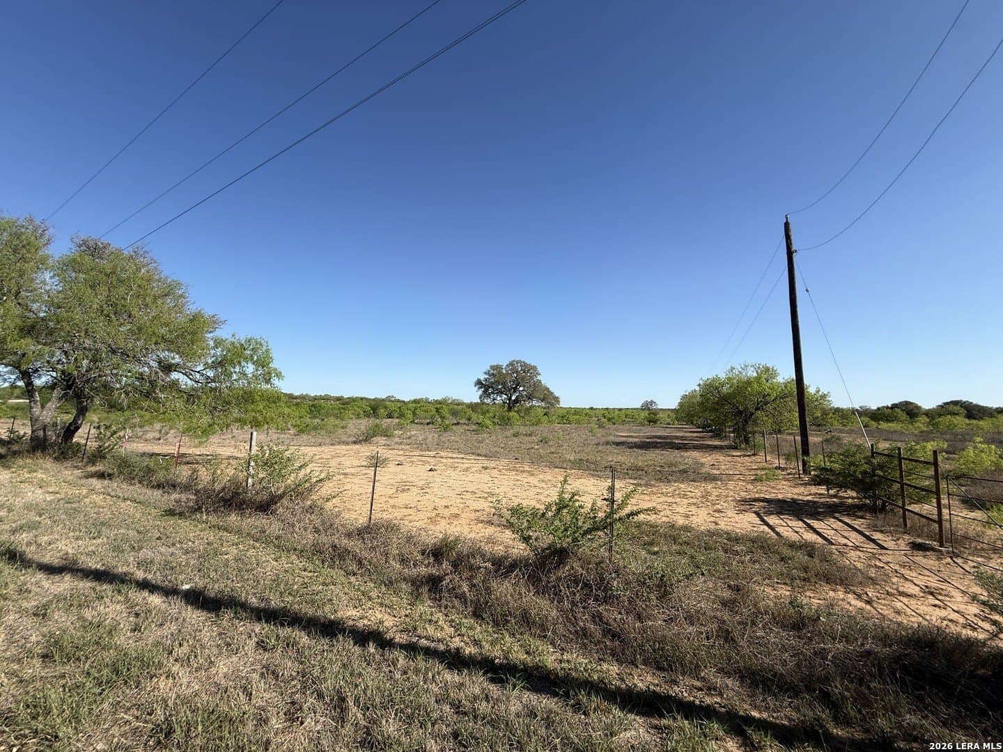 31.83 acres in Atascosa County gallery image 2