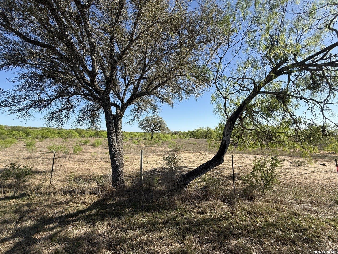 31.83 acres in Atascosa County