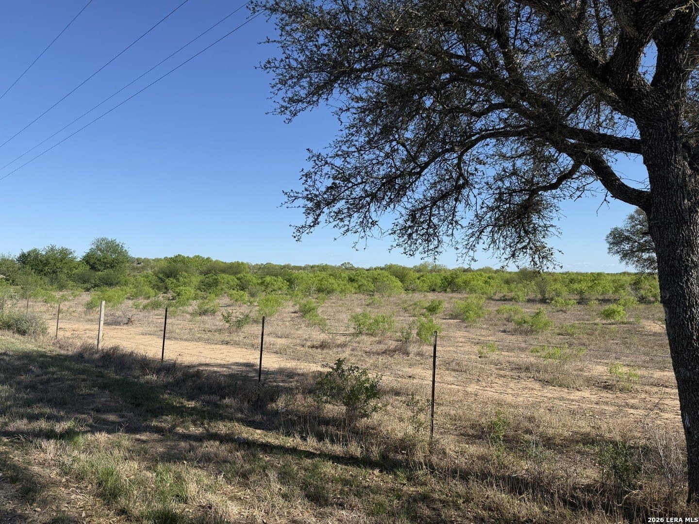 31.83 acres in Atascosa County gallery image 4