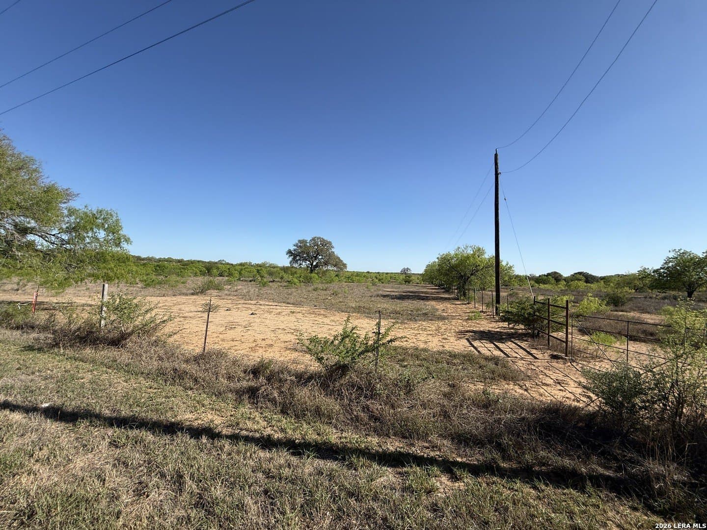 31.83 acres in Atascosa County gallery image 3