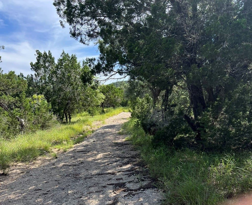 11 acres in Blanco County - photo 19