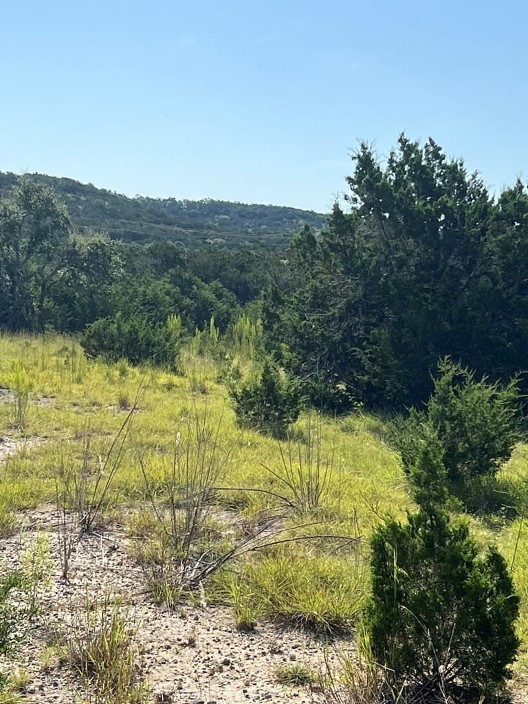 11 acres in Blanco County - photo 18