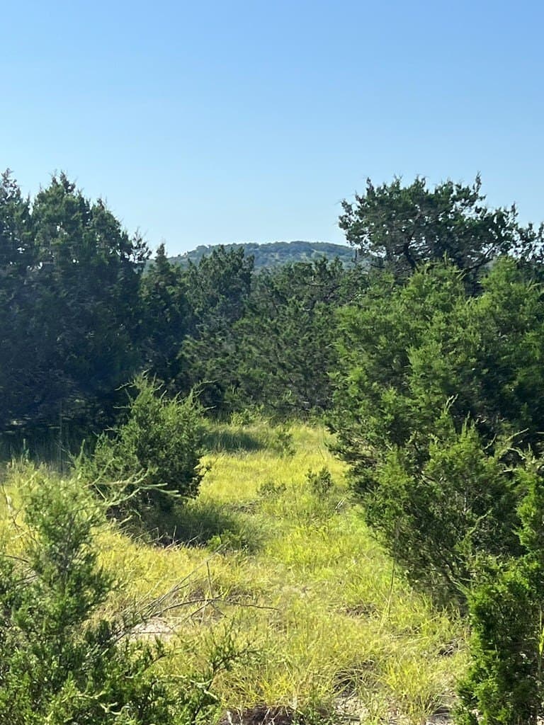 11 acres in Blanco County gallery image 4