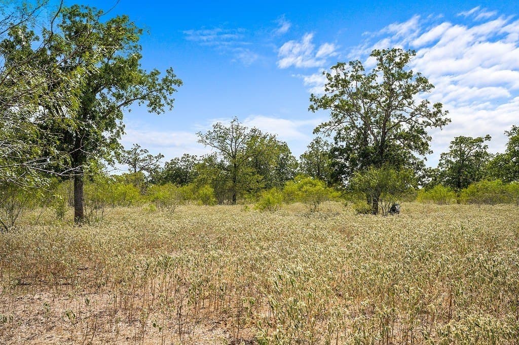 23.36 acres in Fayette County - photo 13