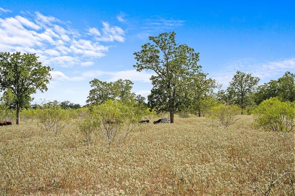 23.36 acres in Fayette County - photo 12